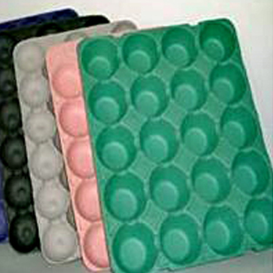 ɽ�|���е��Ѓr��